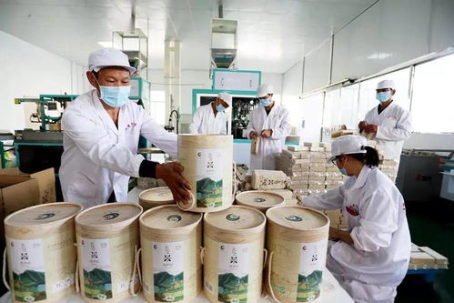 谷香飄萬里，增收靠大米 大額資金如何助力產(chǎn)業(yè)騰飛